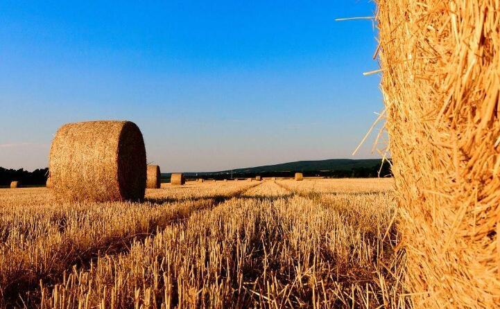 秸稈綜合利用 秸稈綜合利用