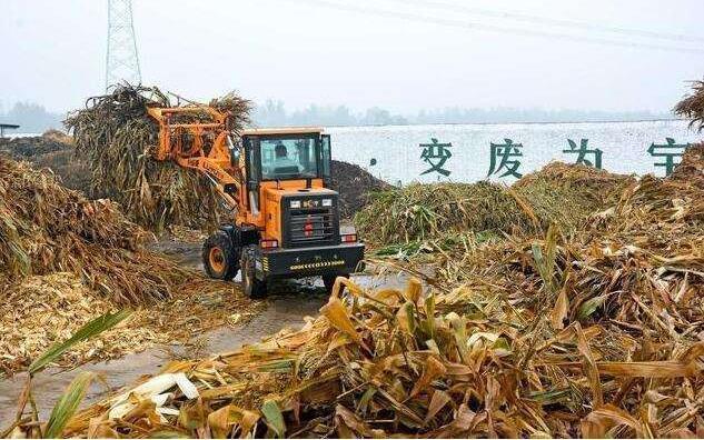 黑土地上的‘秸稈經(jīng)紀(jì)人’要讓秸稈牛起來(lái)，變成‘寶’